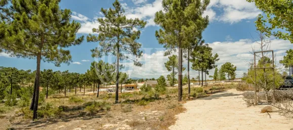 Terreno en Grandola, Portugal No. 91605 14