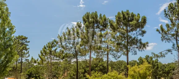 Terreno en Grandola, Portugal No. 91605 17