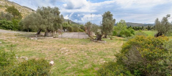 7 bedrooms House in Pollenca, Spain No. 30645 37