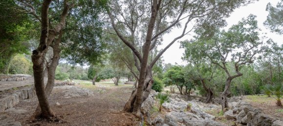 7 bedrooms House in Pollenca, Spain No. 30645 35