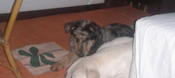 7غرفة منزل في Spresiano, Italy رقم 283407 4