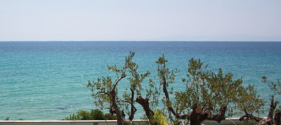 3 bedrooms Bungalow in Chalkidiki, Greece No. 1188 11