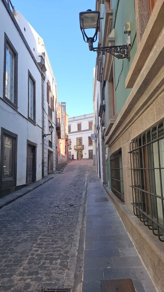 Дом с 14 спальнями в Лас-Пальмас-де-Гран-Канария, Испания № 189086