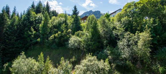 1 bedroom Apartment in Vionnaz, Switzerland No. 380 5