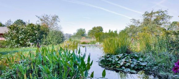 Ферма с 13 комнатами в Эммендинген, Германия № 11479 32