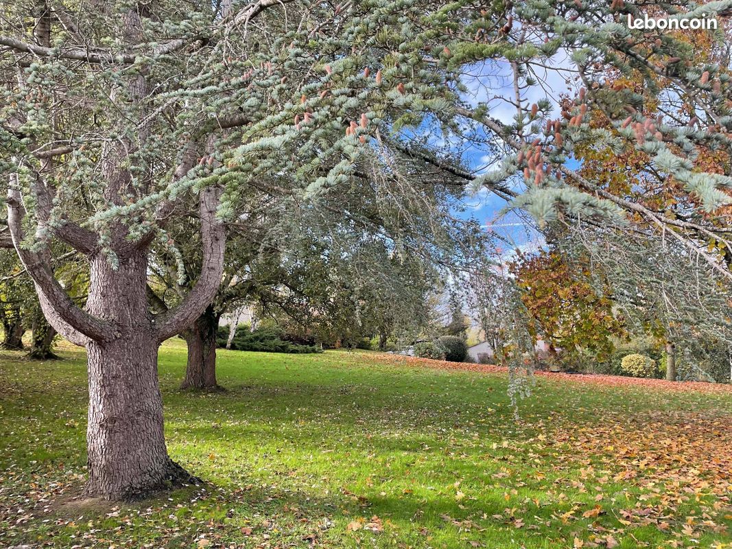 Terrain à Corronsac, France No. 336715