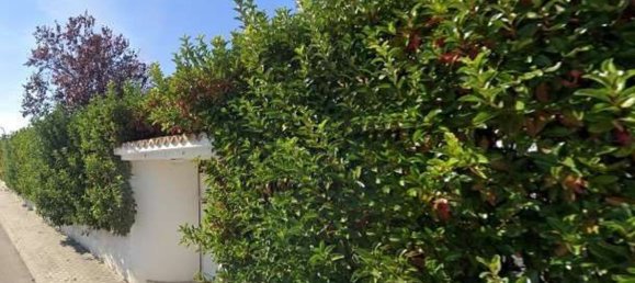 7 bedrooms Villa in Città Sant'Angelo, Italy No. 350898 2