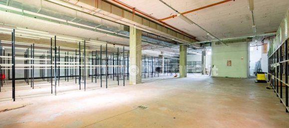 5 rooms Warehouse in Basaluzzo, Italy No. 72426 30