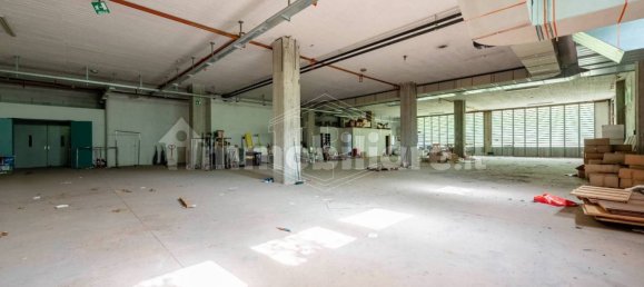 5 rooms Warehouse in Basaluzzo, Italy No. 72426 32