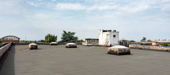 5 rooms Warehouse in Basaluzzo, Italy No. 72426 27