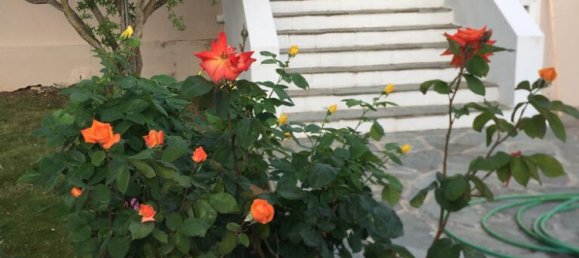 Casa de 3 dormitorios en Marathon, Greece No. 93239 9