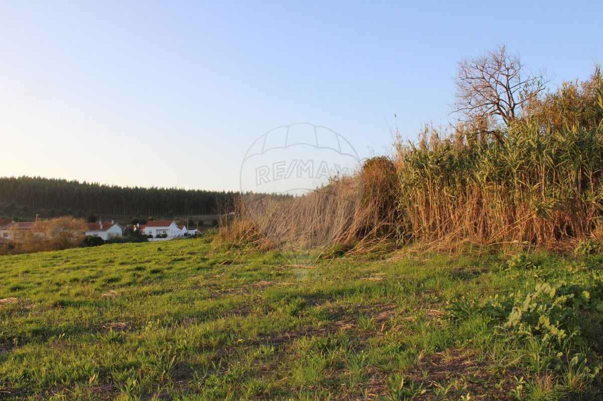 2 bedrooms House in Evora de Alcobaca, Portugal No. 187544