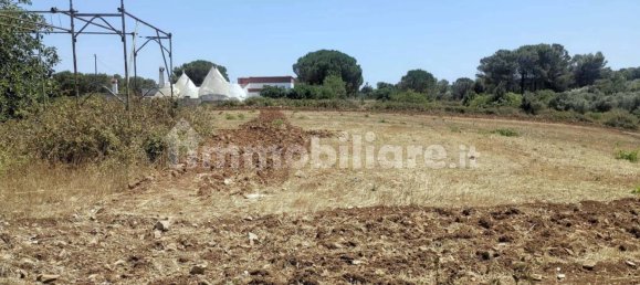 1 bedroom House in Martina Franca, Italy No. 80075 6