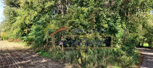 14300m² Land in Caravate, Italy No. 158421 7