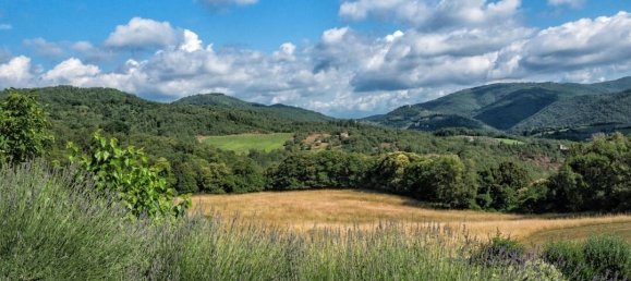 12 bedrooms Villa in Greve in Chianti, Italy No. 189784 4