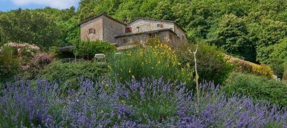 12 bedrooms Villa in Greve in Chianti, Italy No. 189784 30