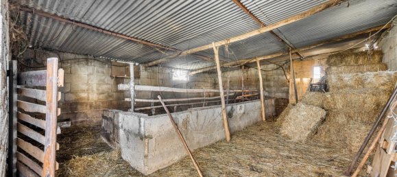 Дом с 9 спальнями в Селорику ди Башту, Португалия № 43467 18