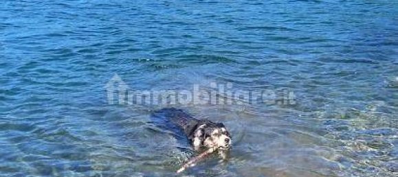 5 bedrooms House in Carrara, Italy No. 349461 15