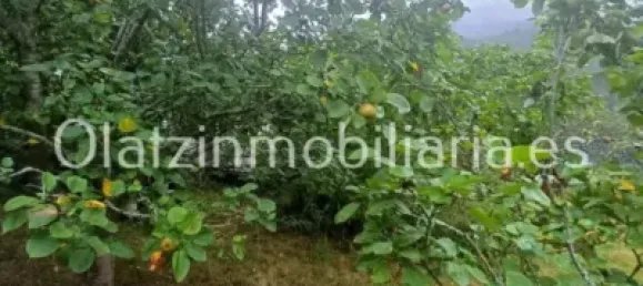 Casa T1 em Basque Autonomous Community, Spain N.º 184167 16