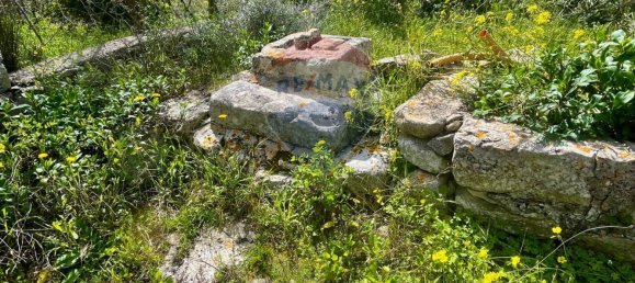 2 Schlafzimmer Haus in Ragusa, Italy, Nr. 20338 11