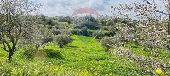 2 Schlafzimmer Haus in Ragusa, Italy, Nr. 20338 13