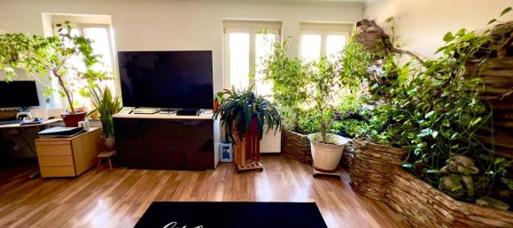 10 rooms House in Bruck an der Leitha, Austria No. 233999 2