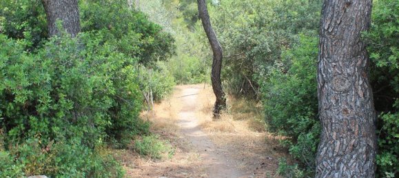 1400m² Hotel in Xylokastro, Greece No. 7778 4