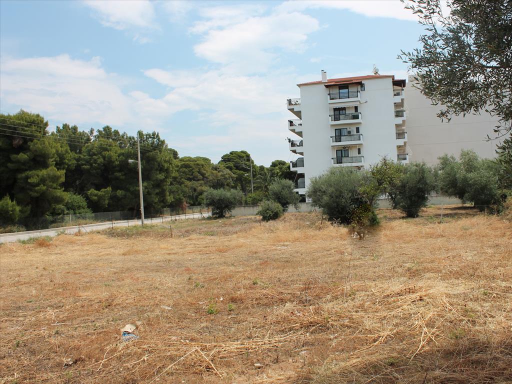 1400m² Hotel in Xylokastro, Greece No. 7778