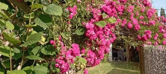 3 غرف نوم قلاع في Rilly-sur-Loire, France رقم 272930 22