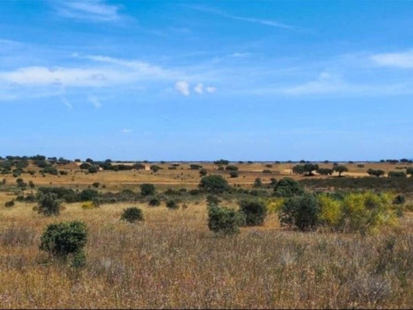  Land in Monsaraz, Portugal No. 267531
