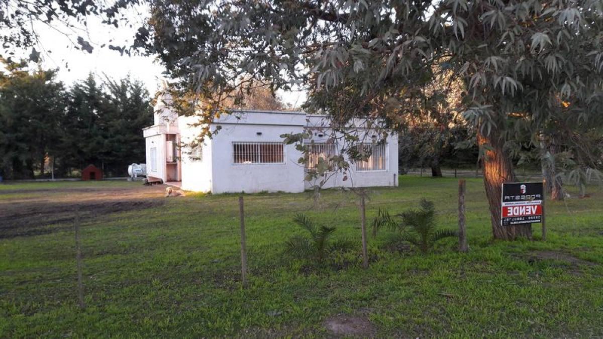 2 bedrooms House in Buenos Aires, Argentina No. 88668