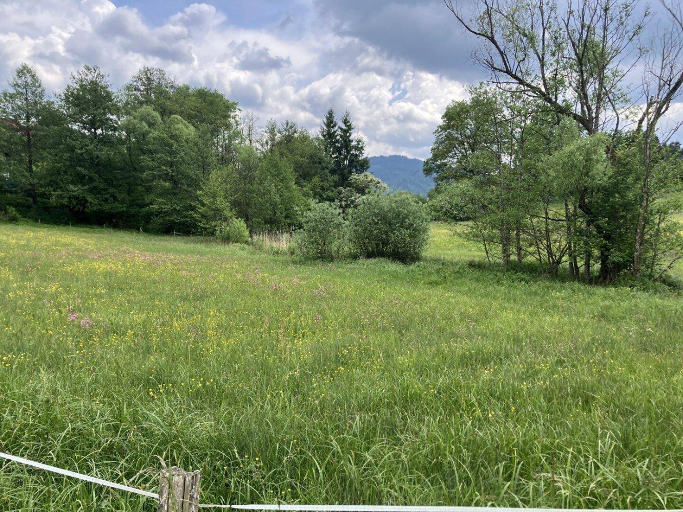 2000m² Land in St. Georgen am Langsee, Austria No. 165939