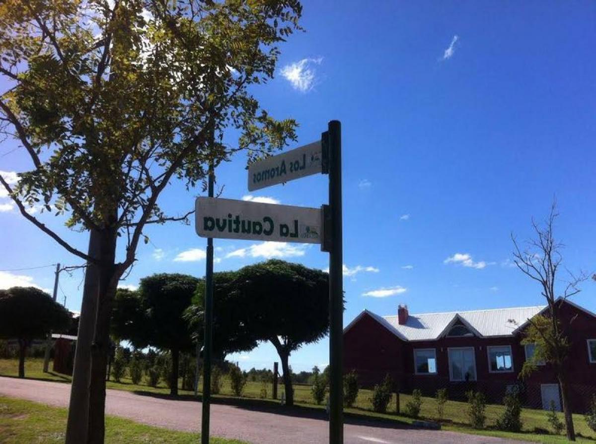  Land in Buenos Aires, Argentina No. 117655