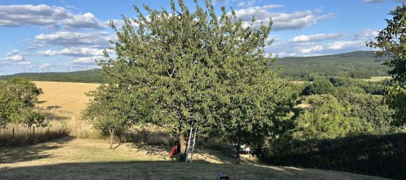 6 غرف نوم تاون هاوس في Rhein-Hunsruck, Germany رقم 313640 8