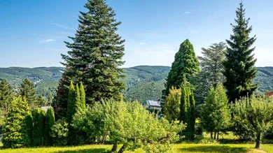  Land in Penzing, Austria No. 229305