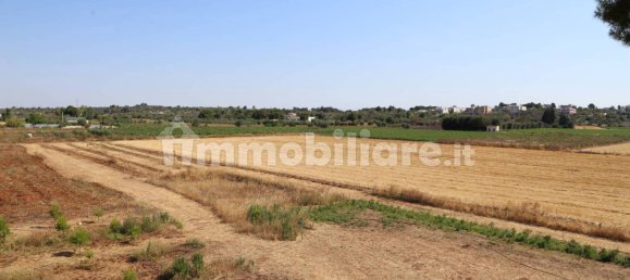 4 chambres Maison à Sannicola, Italy No. 319317 31
