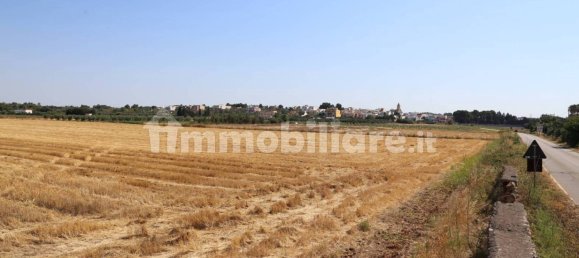 4 chambres Maison à Sannicola, Italy No. 319317 38