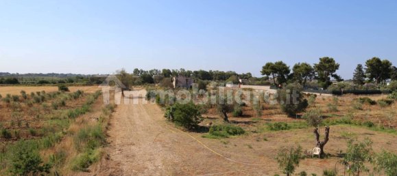 4 chambres Maison à Sannicola, Italy No. 319317 28