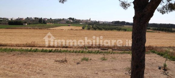 4 chambres Maison à Sannicola, Italy No. 319317 11