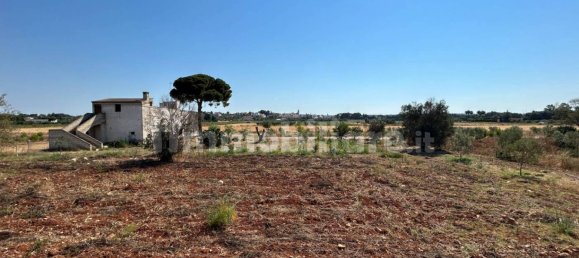 4 chambres Maison à Sannicola, Italy No. 319317 24