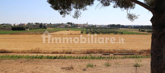 4 chambres Maison à Sannicola, Italy No. 319317 15