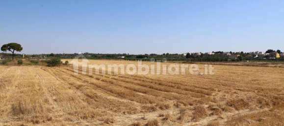 4 chambres Maison à Sannicola, Italy No. 319317 39