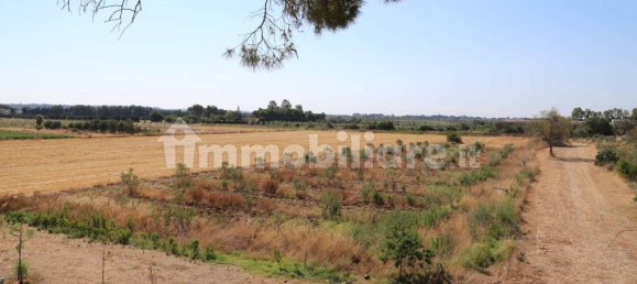 4 chambres Maison à Sannicola, Italy No. 319317 27