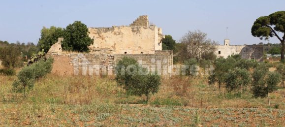 4 chambres Maison à Sannicola, Italy No. 319317 46