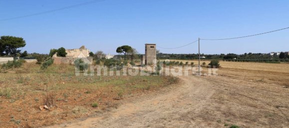 4 chambres Maison à Sannicola, Italy No. 319317 45