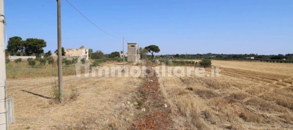 4 chambres Maison à Sannicola, Italy No. 319317 34