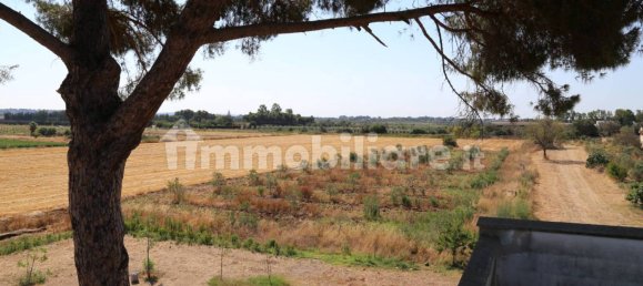4 chambres Maison à Sannicola, Italy No. 319317 17