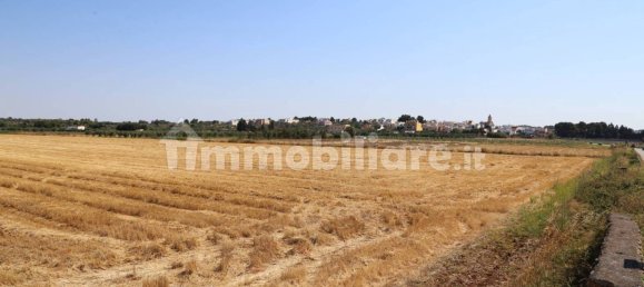 4 chambres Maison à Sannicola, Italy No. 319317 40