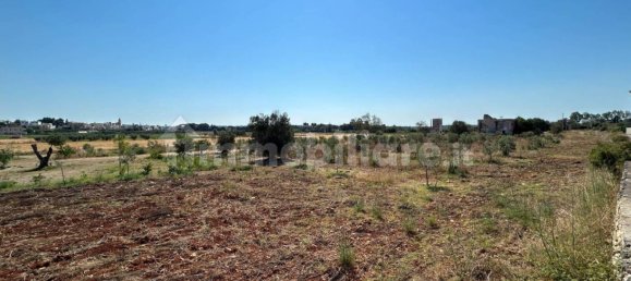 4 chambres Maison à Sannicola, Italy No. 319317 23