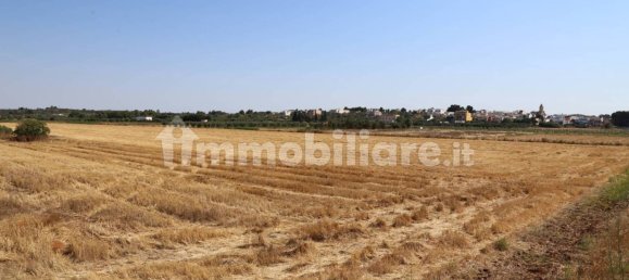 4 chambres Maison à Sannicola, Italy No. 319317 37